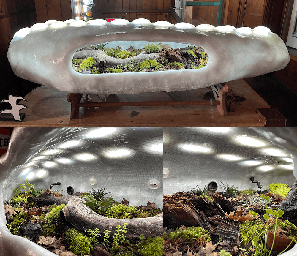 Three Views of Terrarium